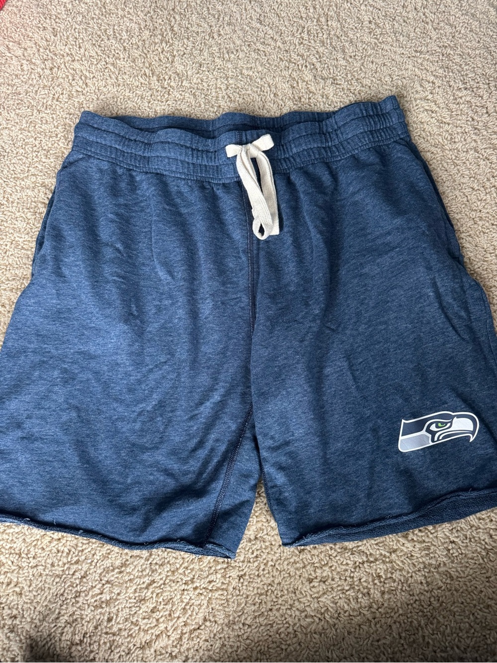 Source Unknown Navy Athletic Drawstring Shorts with Team Logo